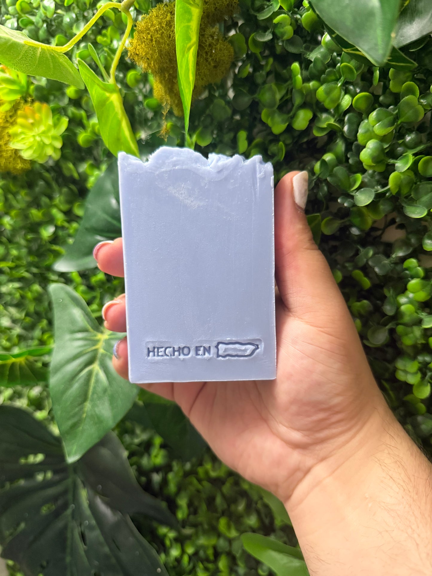 Jabón Papasote (Caballero)