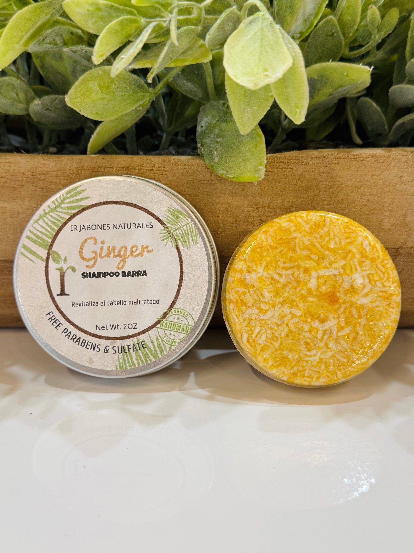 Shampoo & Conditioner en Barras